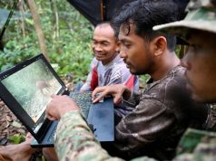 Kamera Tersembunyi dan AI Dedahkan Hidupan Liar Jarang di Hutan Hujan Kemboja