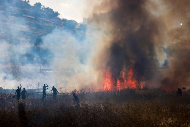 Nasib-Jalur-Gaza-Terjejas-akibat-Perang-di-Timur-Tengah.jpg
