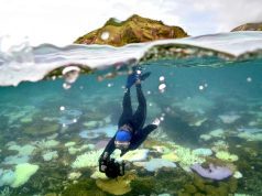 Terumbu Karang Great Barrier Australia Elak Status ‘Dalam Bahaya’ Walaupun Ada Kebimbangan Pelunturan Massa