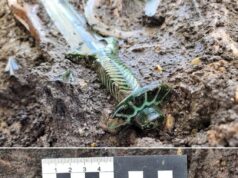 Penemuan Pedang Zaman Gangsa Berusia 3,000 Tahun di Jerman