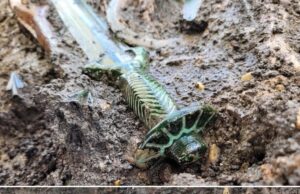 Penemuan Pedang Zaman Gangsa Berusia 3,000 Tahun di Jerman