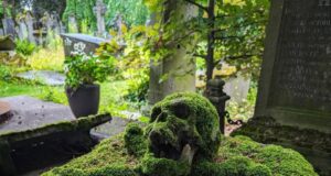 Warisan Antoine Michel Wema: Kenangan di Bawah Lumut