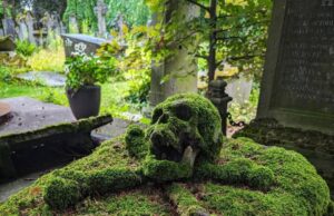 Warisan Antoine Michel Wema: Kenangan di Bawah Lumut