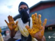Keadaan Kritikal: Tumpahan Minyak Sawit di Kampung Pasir Putih, Johor