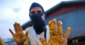 Keadaan Kritikal: Tumpahan Minyak Sawit di Kampung Pasir Putih, Johor