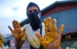 Keadaan Kritikal: Tumpahan Minyak Sawit di Kampung Pasir Putih, Johor