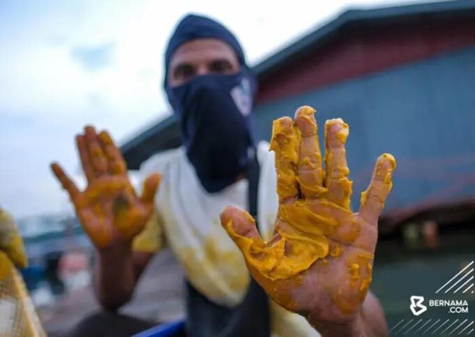 Keadaan Kritikal: Tumpahan Minyak Sawit di Kampung Pasir Putih, Johor