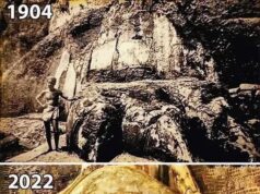 Kejayaan Arsitektur dan Warisan Budaya di Paw Singa Sigiriya