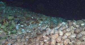 Memahami Temuan 100,000 Peralatan Seramik dari Dua Kapal Layar China di Dasar Laut 1500 Meter