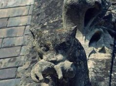 Perpaduan Zaman: Kucing Berusia 630 Tahun dan Anak Kucing di Atas Château de…