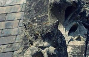 Perpaduan Zaman: Kucing Berusia 630 Tahun dan Anak Kucing di Atas Château de…