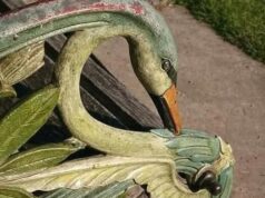 Swan Bench: Keindahan Seni Besi di Tepi Maze Taman