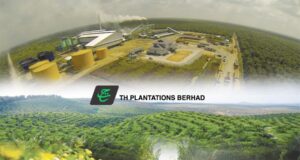 TH Plantations Catat Kenaikan Untung Bersih Menarik pada Suku Ketiga 2025