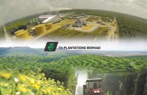 TH Plantations Catat Kenaikan Untung Bersih Menarik pada Suku Ketiga 2025