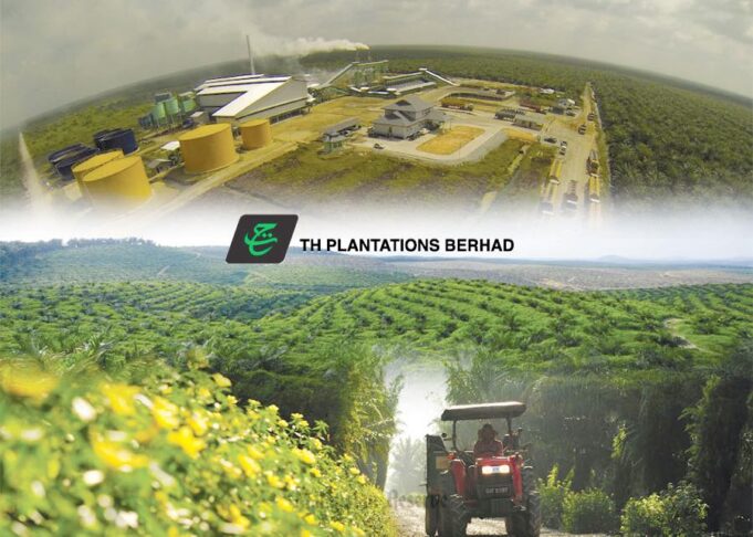 TH Plantations Catat Kenaikan Untung Bersih Menarik pada Suku Ketiga 2025