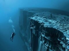 Menjelajahi Zon Kegelapan Laut: Keajaiban di Dalam 200 Meter