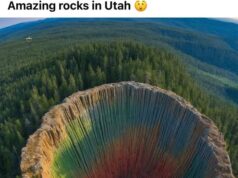 Keajaiban Alam Siberia: Mengungkap Keindahan Taiga Timur Rusia