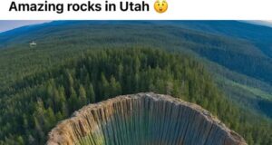 Keajaiban Alam Siberia: Mengungkap Keindahan Taiga Timur Rusia