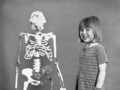 Perbandingan Evolusi: Sisa Skeleton Lucy dan Budak Perempuan 4 Tahun, 1974