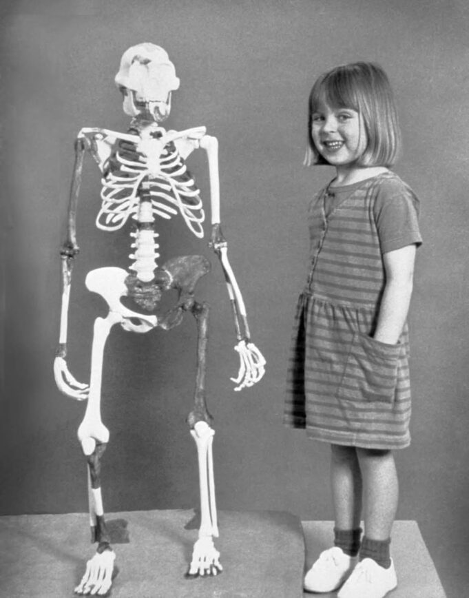Perbandingan Evolusi: Sisa Skeleton Lucy dan Budak Perempuan 4 Tahun, 1974