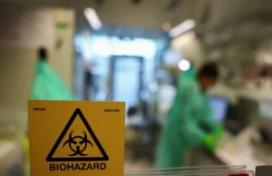 Virus burung menyerang Eropah dan Amerika Utara lebih awal daripada biasa.