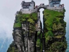 Kecantikan Alam dan Warisan Budaya: Menyingkap Keajaiban Gunung Fanjing di Guizhou, China