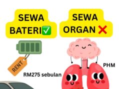 Fungsi dan Pentingnya Organ Utama: Jantung, Buah Pinggang, dan Paru-Paru