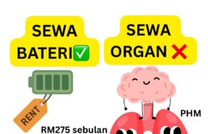 Fungsi dan Pentingnya Organ Utama: Jantung, Buah Pinggang, dan Paru-Paru