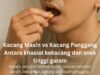 Kacang Masin vs. Kacang Panggang: Memahami Perbezaan dan Perisa