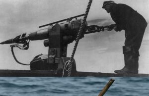 Penemuan Luar Biasa: Hasil Buruan Pemburu Inupiat di Pantai Alaska pada 2007