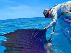 Kecepatan Terkecoh: Ikan Tercepat di Lautan!