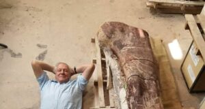 Sir David Attenborough dan Penemuan Tulang Paha Kolosal Titanosaur