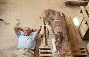 Sir David Attenborough dan Penemuan Tulang Paha Kolosal Titanosaur