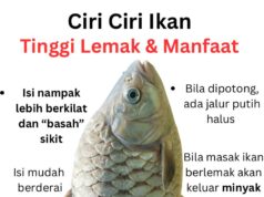Manfaat Lemak Ikan untuk Kesihatan: Mengapa Anda Tidak Perlu Takut?