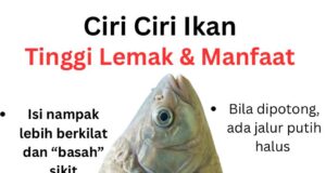 Manfaat Lemak Ikan untuk Kesihatan: Mengapa Anda Tidak Perlu Takut?