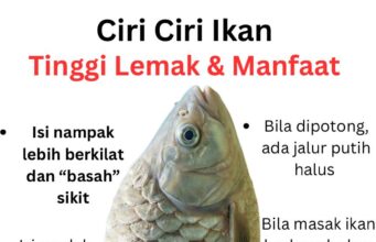 Manfaat Lemak Ikan untuk Kesihatan: Mengapa Anda Tidak Perlu Takut?