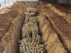 Tajuk: “Peninggalan Sejarah yang Terpendam: Formasi Misteri di Bawah Tanah Xi’an, China”