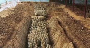 Tajuk: “Peninggalan Sejarah yang Terpendam: Formasi Misteri di Bawah Tanah Xi’an, China”