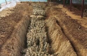 Tajuk: “Peninggalan Sejarah yang Terpendam: Formasi Misteri di Bawah Tanah Xi’an, China”