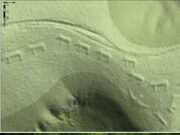 Kumpulan Beruang Berarak: Keajaiban Sejarah dan Budaya Masyarakat Awal