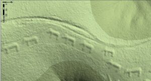 Kumpulan Beruang Berarak: Keajaiban Sejarah dan Budaya Masyarakat Awal