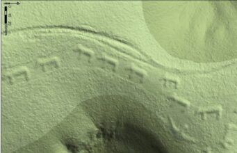 Kumpulan Beruang Berarak: Keajaiban Sejarah dan Budaya Masyarakat Awal