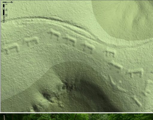 Kumpulan Beruang Berarak: Keajaiban Sejarah dan Budaya Masyarakat Awal