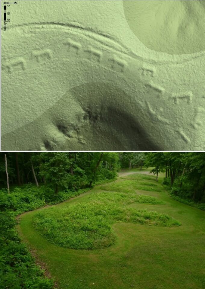 Kumpulan Beruang Berarak: Keajaiban Sejarah dan Budaya Masyarakat Awal