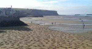 Penghormatan kepada 9000 Jiwa yang Hilang: Kenangan Tragedi D-…