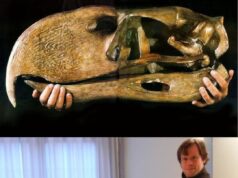 Terror Birds: Raksasa Pemburu Pra sejarah di Bumi