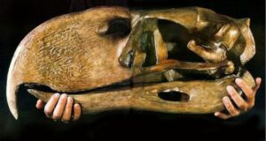 Terror Birds: Raksasa Pemburu Pra sejarah di Bumi