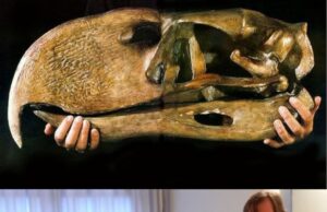 Terror Birds: Raksasa Pemburu Pra sejarah di Bumi