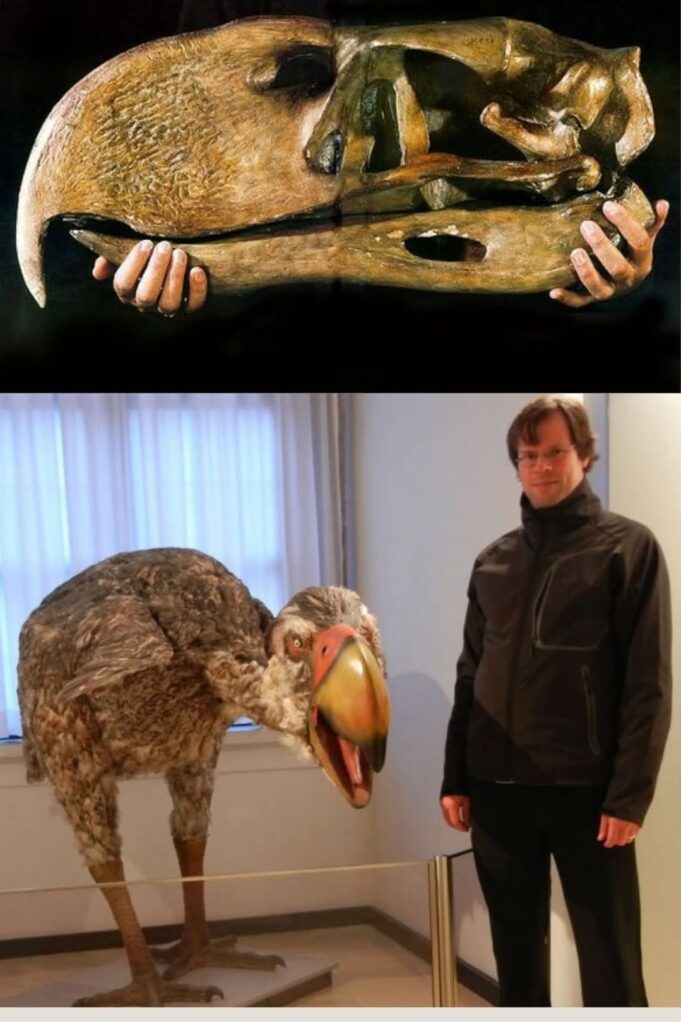 Terror Birds: Raksasa Pemburu Pra sejarah di Bumi