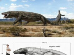 Apocalypse Now: Ketakutan Sejati dari Alam Nyata